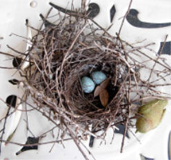 birds-nest.jpg